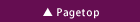 ▲pagetop